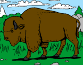 Desenho Búfalo pintado por vinicius andrade