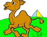 Desenho Camelo pintado por podisipirimmir