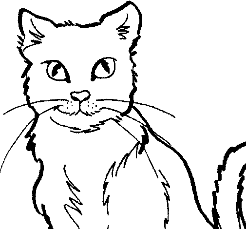 Desenho Gato pintado por piupiu