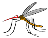 Desenho Mosquito pintado por henque 