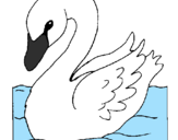 Desenho Cisne pintado por lindinho