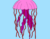Desenho Medusa pintado por lucas