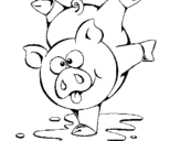 Desenho Porco a brincar pintado por piupiu