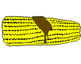 Desenho Espiga de milho  pintado por luz felipe