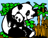 Desenho Mamã panda pintado por mariana c