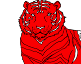 Desenho Tigre pintado por LUCAS BRAVO