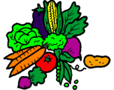 Desenho verduras pintado por joana carlota