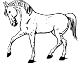 Desenho Cavalo com a pata levantada pintado por vitoria