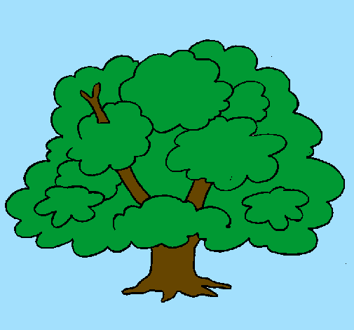 Desenho Árvore pintado por MATHEUS