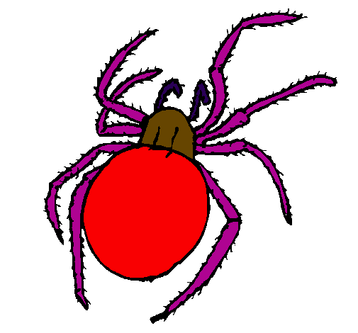 Desenho Aranha venenosa pintado por VIUVA NEGRA