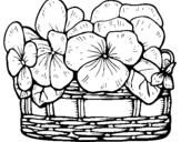 Desenho Cesta de flores 12 pintado por fada