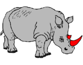 Desenho Rinoceronte pintado por felipe