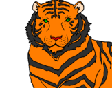 Desenho Tigre pintado por onça pintada