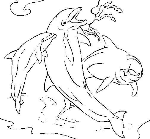 Desenho Golfinhos a brincar pintado por roberto