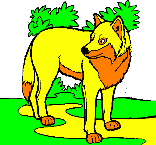 Desenho Lobo pintado por naruto