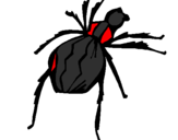 Desenho Aranha viúva negra pintado por bruno d bogler