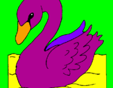 Desenho Cisne pintado por bruna