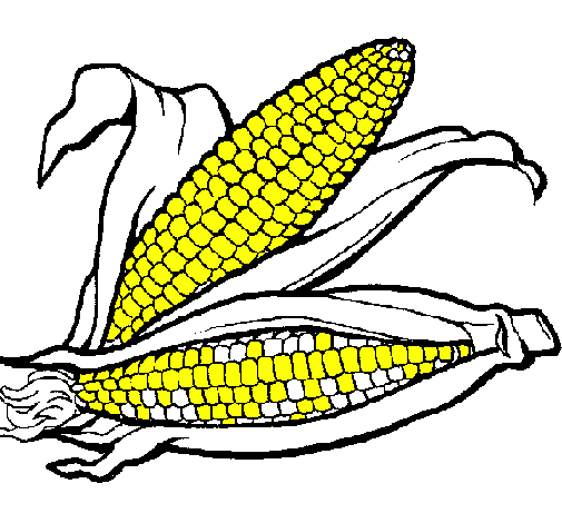 Desenho Espiga de milho  pintado por cintia