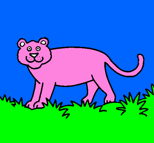 Desenho Panthera  pintado por pantera cor de rosa