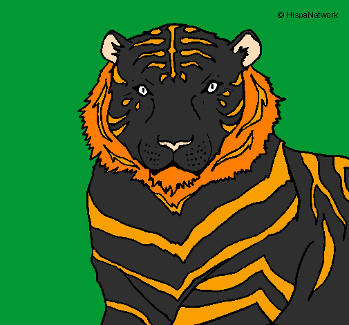 Desenho Tigre pintado por peido azedo