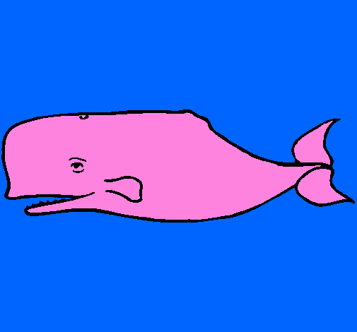 Desenho Baleia azul pintado por pantera cor de rosa