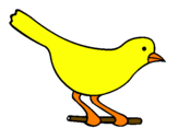Desenho Pássaro 4 pintado por passaro