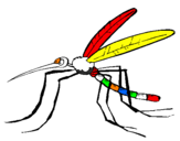 Desenho Mosquito pintado por everton