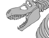 Desenho Esqueleto tiranossauro rex pintado por Pedro