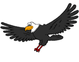 Desenho Falcão pintado por gavião