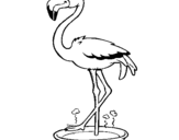 Desenho Flamingo com os pés de molho pintado por melina