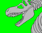 Desenho Esqueleto tiranossauro rex pintado por moto