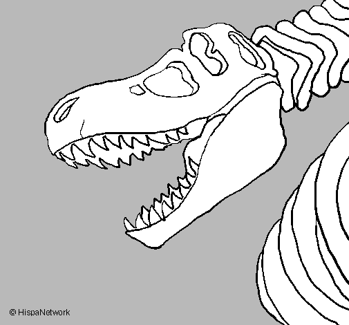 Desenho Esqueleto tiranossauro rex pintado por Stan