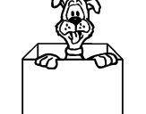 Desenho Cão dentro da caixa pintado por SAMUEL 