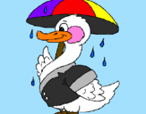 Desenho Pato sob a chuva pintado por fabis