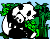 Desenho Mamã panda pintado por amanda