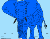 Desenho Elefante pintado por gustavo