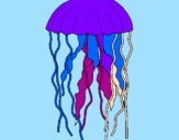 Desenho Medusa pintado por bruno