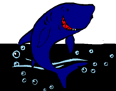 Desenho Tubarão pintado por çal