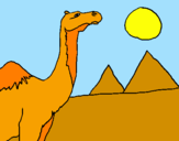 Desenho Camelo pintado por guem