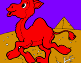 Desenho Camelo pintado por MATH EUS