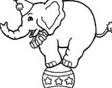 Desenho Elefante em cima de uma bola pintado por junior