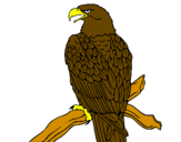 Desenho Águia num ramo pintado por samuel