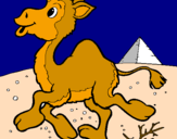 Desenho Camelo pintado por luis miguel