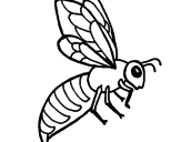 Desenho Abelha pintado por Bee