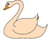 Desenho Cisne pintado por Letícia