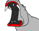 Desenho Hipopótamo com a boca aberta pintado por tubarao