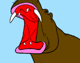 Desenho Hipopótamo com a boca aberta pintado por cokgh