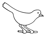 Desenho Pássaro 4 pintado por periquito