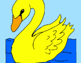 Desenho Cisne pintado por Lucas