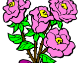 Desenho Ramo de rosas pintado por gabriela